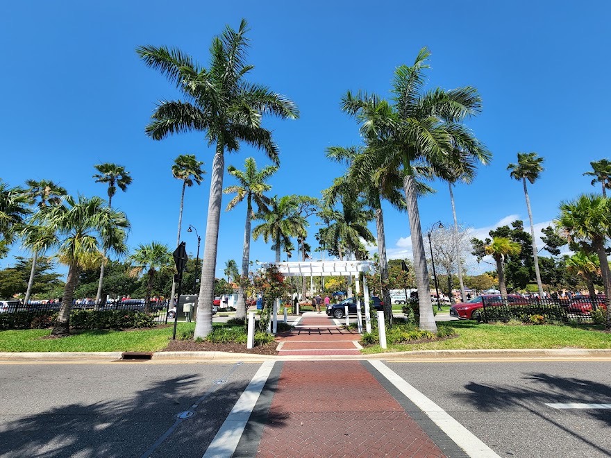 Downtown Venice palms across from T.J. Carney's